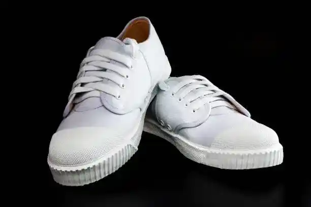 From the Court to the Catwalk: The Evolution of White Sneakers